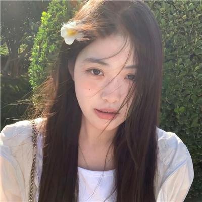 我私人的爱达荷